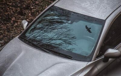 Reasons Why You Should Buy OEM Windshield